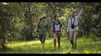 A guided nature walk from Kanha Earth Lodge