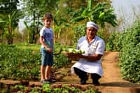The organic garden at Kanha Earth Lodge