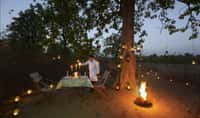 A bush dinner by a fire at Pench Tree Lodge