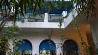 White house facade with arched blue windows and creeper-hung terrace