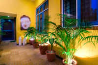 Plant-filled courtyard with yellow walls and Buddha mural