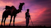 Camel and handler silhouetted against a desert sunset, Dhora Desert Resort & Spa, Shekhala