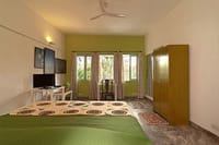 Neem room in leaf green with park-facing windows and tree canvases, Haveli Hauz Khas, New Delhi