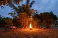 Evening bonfire ringed by chairs beneath bamboo trees, Soulacia Hotel & Resort, Kanha