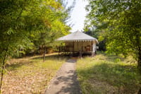 Safari tent with scalloped canopy and deck amid bamboo, Soulacia Hotel & Resort, Kanha