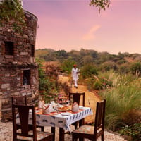 Outdoor dining overlooking the forest