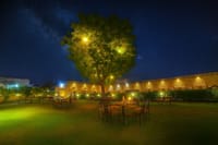 Lawns and trees lit up at night