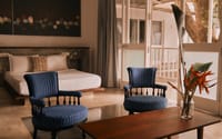 Modern wing room with striped blue armchairs