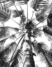 Kayal Island Retreat — photo 11