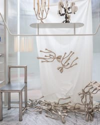 The Kin — photo 12