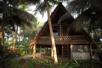 Bamboo and thatch beach house among palms