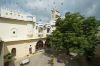 Fort courtyard seen from a gallery, painted white balconies and a large tree, birds overhead