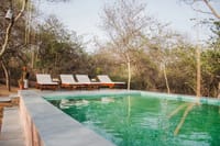 Natural swimming pool with loungers