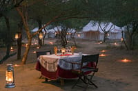 Dinner table laid under the trees
