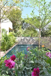 Plunge pool edged with flowering plants