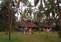 Thatched cottages among the coconut palms with a hammock slung between two trunks