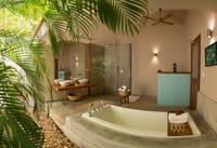 Bathroom with a sunken tub and a walk in shower open to planting