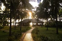 Path through the coconut grove to the open sided dining pavilion at sunset