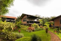 Stilted acacia-wood tree house cottages amid tropical planting