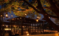 Outdoor tables under a lit tree