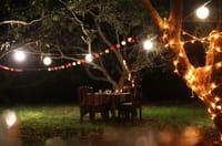 Table set outdoors under lit trees