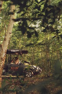 KAAV Safari Lodge — photo 2