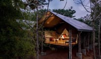 KAAV Safari Lodge — photo 12
