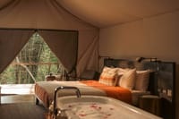 KAAV Safari Lodge — photo 13