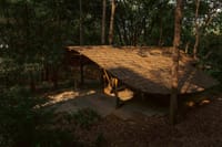 KAAV Safari Lodge — photo 4