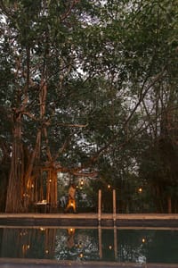 KAAV Safari Lodge — photo 5