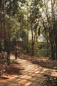 KAAV Safari Lodge — photo 10