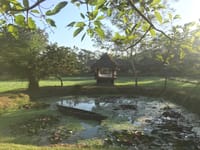 A country boat on the lily pond in front of the gazebo