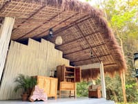 The spa cabin with a thatched roof at the edge of the trees