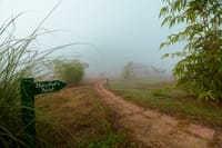 Camp TigerLily — photo 14