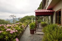 Terrace path with hydrangeas above the valley