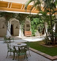 Garden courtyard with palms and arcaded verandah