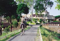 Rider on the drive past the lodge