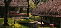 Elephant grass thatch over two cottage verandahs