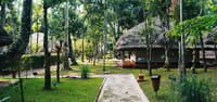 Stone path running between cottages under forest trees