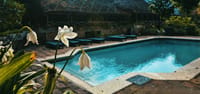 Swimming pool with loungers below a thatched roof