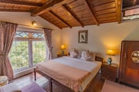 Sunbird attic room with sloped beamed ceiling and hillside window