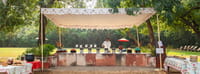 Buffet laid out under a canopy on the lawn