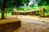 The deluxe room block under the trees