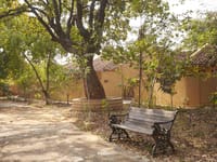 A bench under an old tree in the grounds