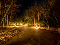 The lit path through the forest after dark