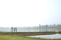 Misty paddy fields near Kabini