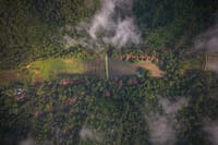 A winding road through misty Coorg forest
