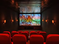 The Showshaa theatre at Ananyamaya, red seats and a tiger on the screen
