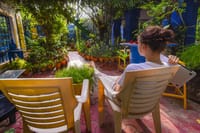Guest relaxing on garden chairs among dense greenery