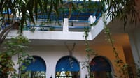 White house facade with arched blue windows and creeper-hung terrace